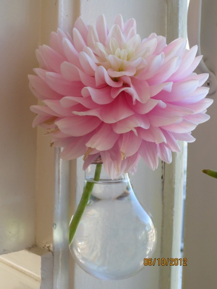 I made the lightbulb bud vase, not the flower, silly!